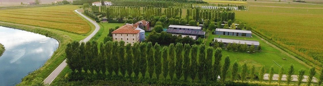 Support to small/medium companies