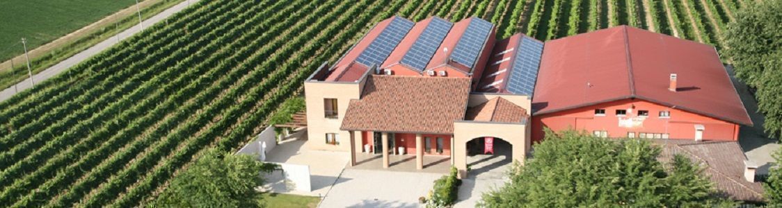 Register your Company