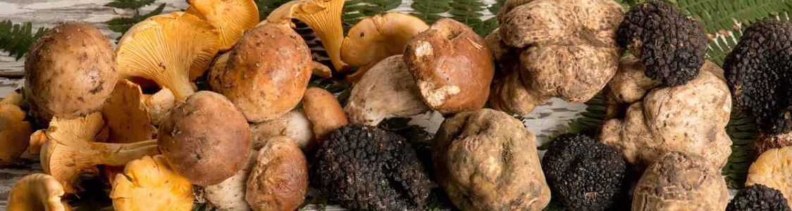 Products by category