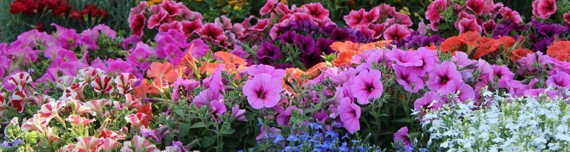 Products by category