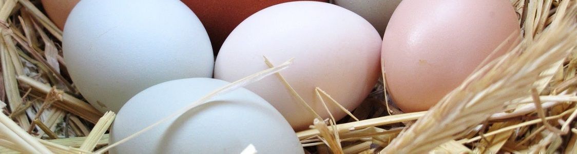 Products by category