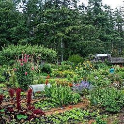 Protection of biodiversity