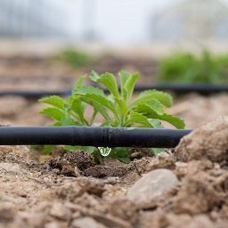 Optimized irrigation systems with control unit