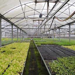 Protected agriculture