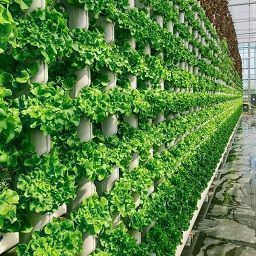 Vertical farming