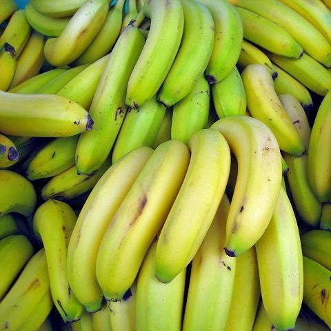 BANANE BIO