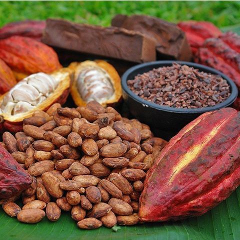 018776 - BIO - Equik cacao solubile - 375g -Altromercato