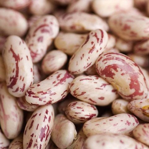 Fagioli Borlotti lessati