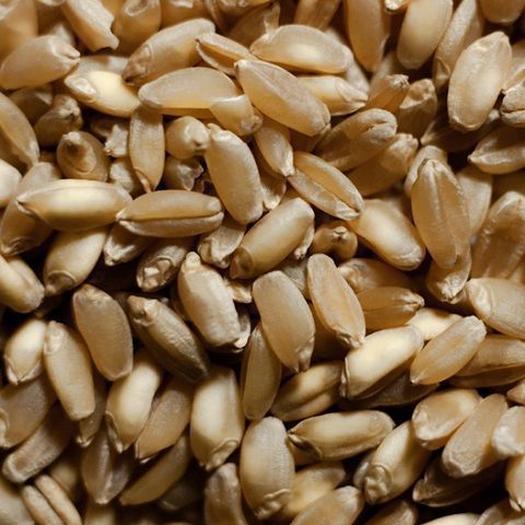 Farro semiperlato 5kg