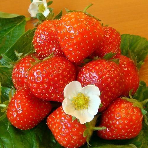 Fragole cestino 500g