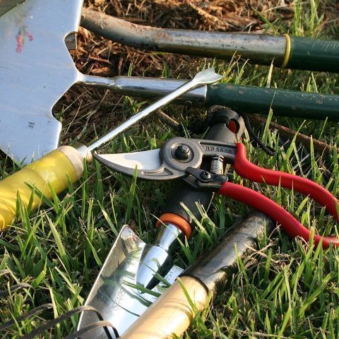 1 serra a capriata di 18 m x 8 m