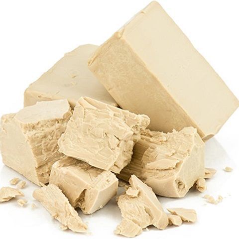 PASTA MADRE BIO 150GR.