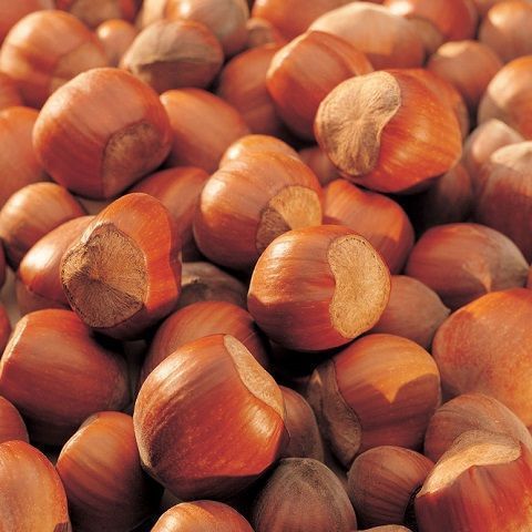 Farina di nocciole TGT tostate bio sottovuoto 5 Kg