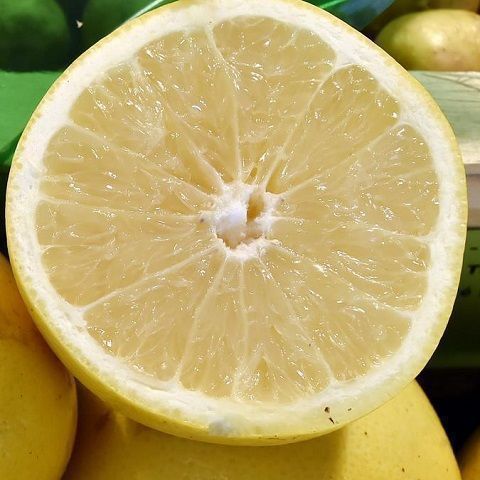 Pompelmi non trattati