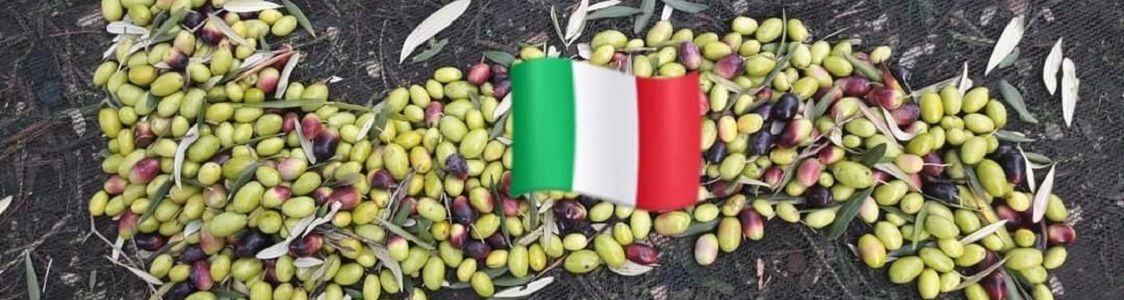 Azienda agricola Carella Luigi