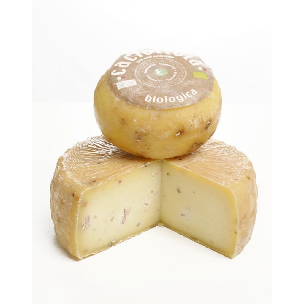 CACIOTTINA NOCI - 500 GR. ca.