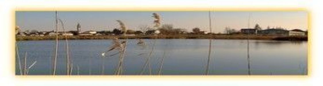 Azienda agricola biologica Cerutti s.s.