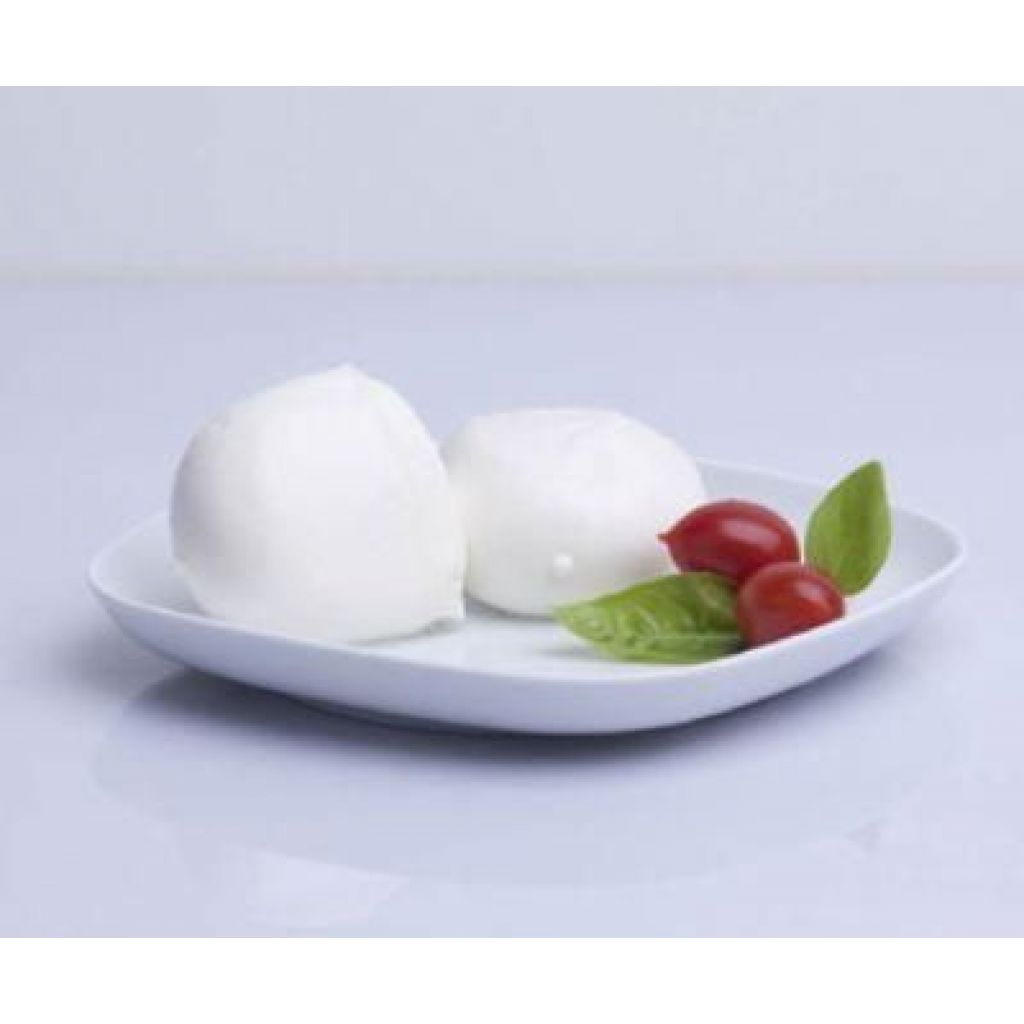 MOZZARELLA DI MUCCA BIOLOGICA