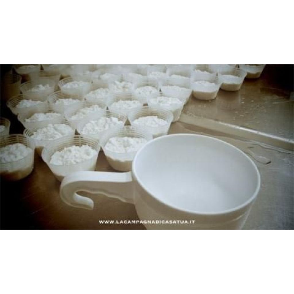 RICOTTA FRESCA BIOLOGICA