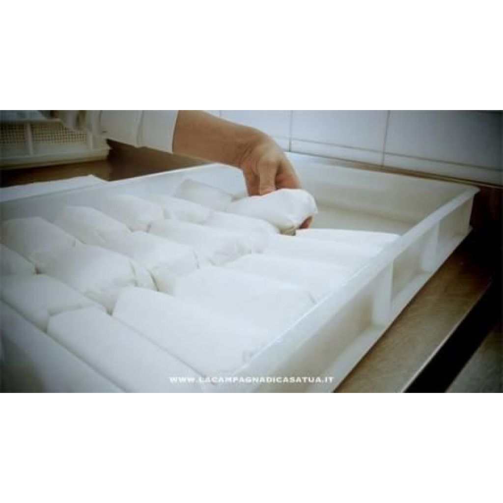 STRACCHINO BIOLOGICO