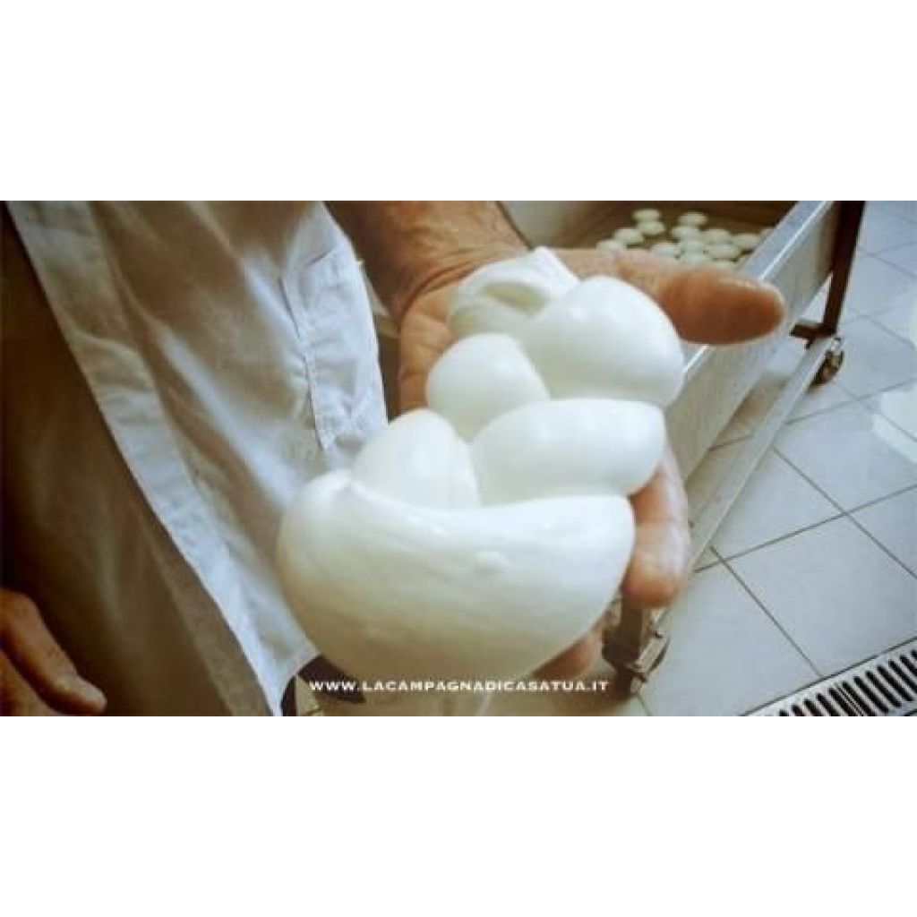 TRECCIA MISTO BUFALA BIOLOGICA