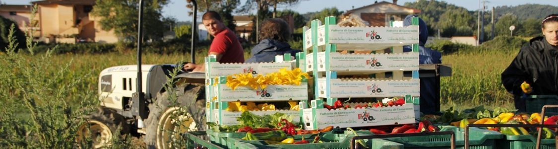 Fattoria di Corazzano Sarl