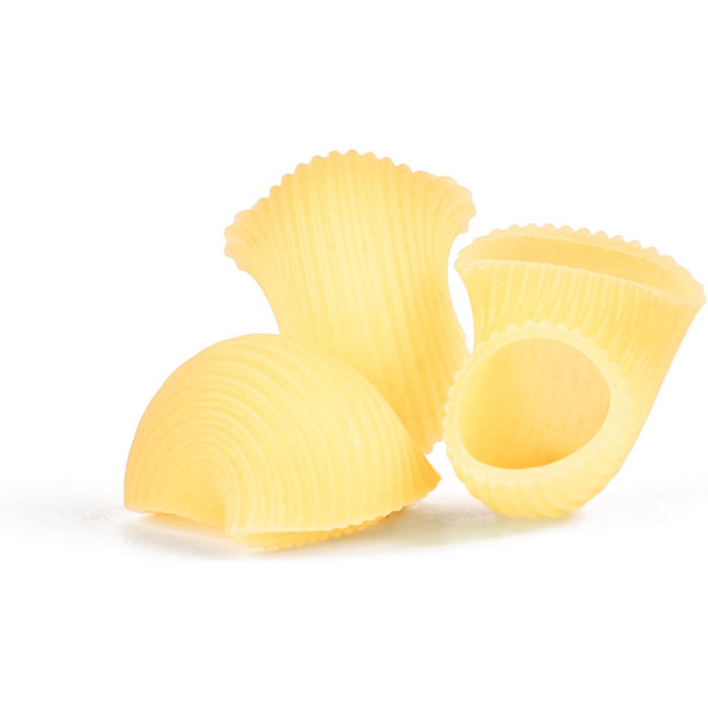Conchiglie Semola di Grano Duro Trafilatura Ruvida 3 Kg