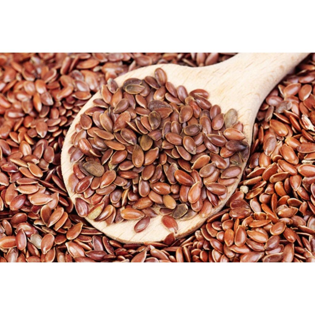 Semi di lino sfusi
