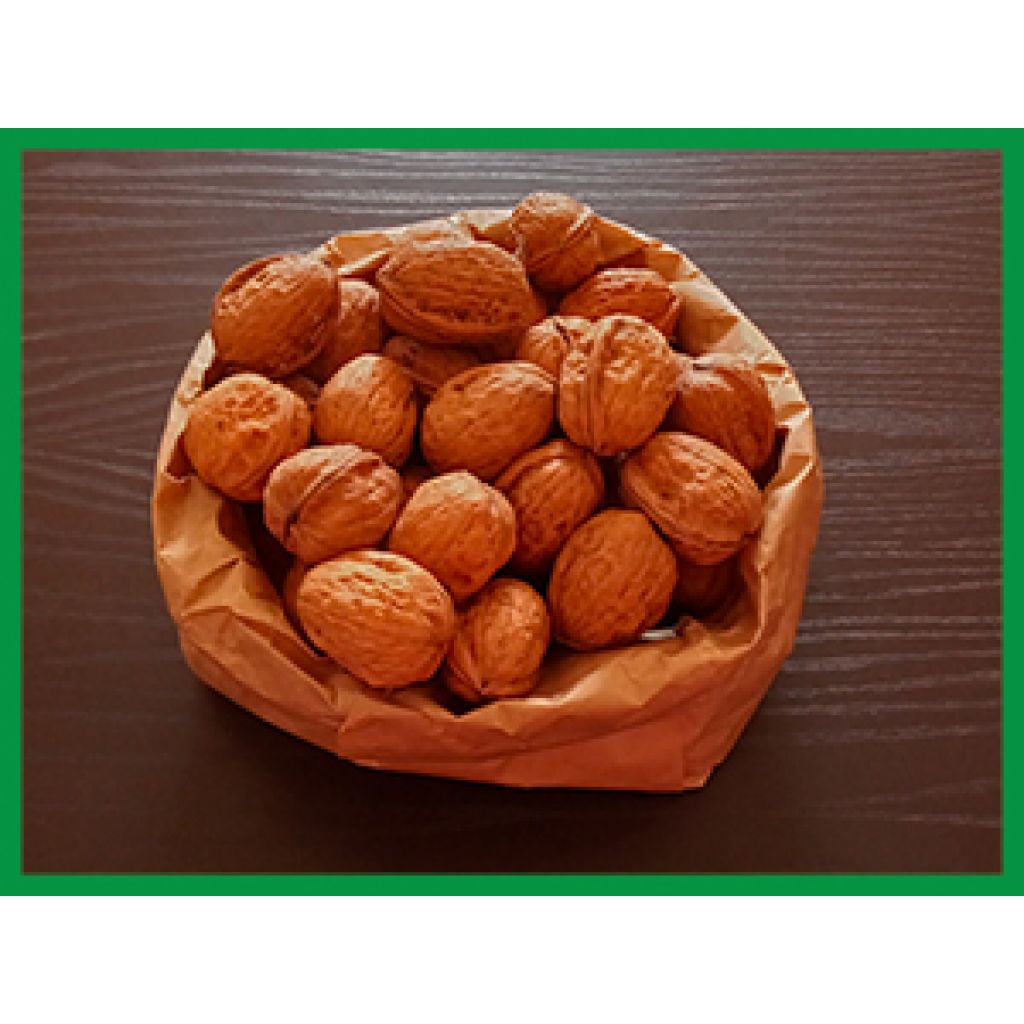 Noci (1 Kg)