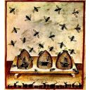 Azienda agricola Le Bosche