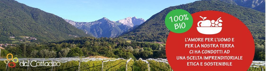 Azienda agricola Dal Contadino