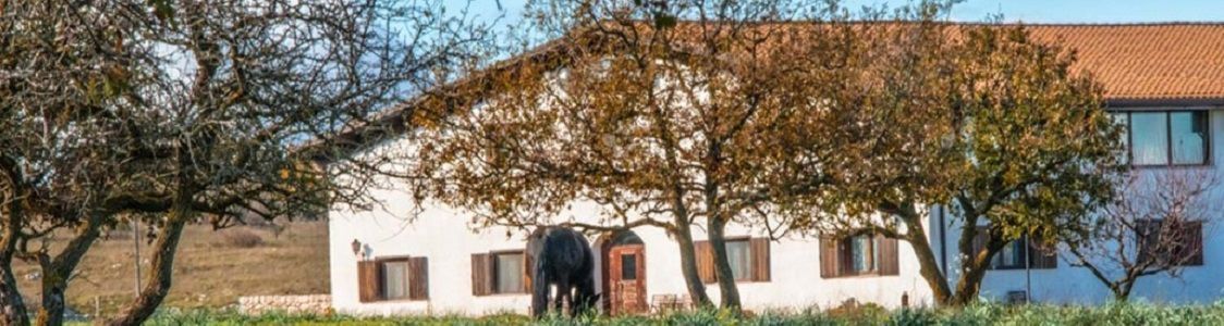 Fattoria della Mandorla