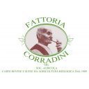 Azienda Agricola La Chiona