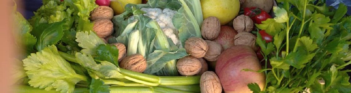 Azienda agricola Biologica Biofrutta