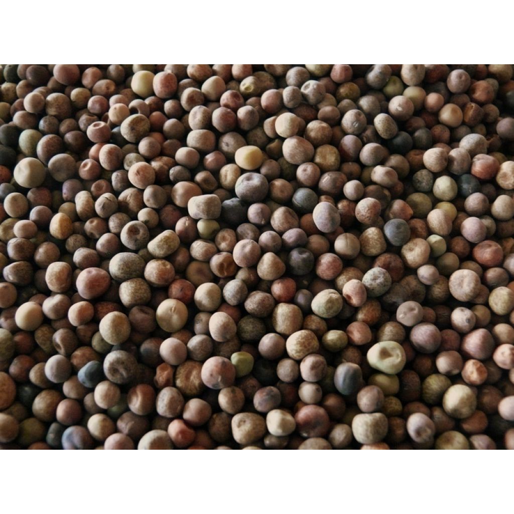 Roveja - pisellino selvatico 250gr