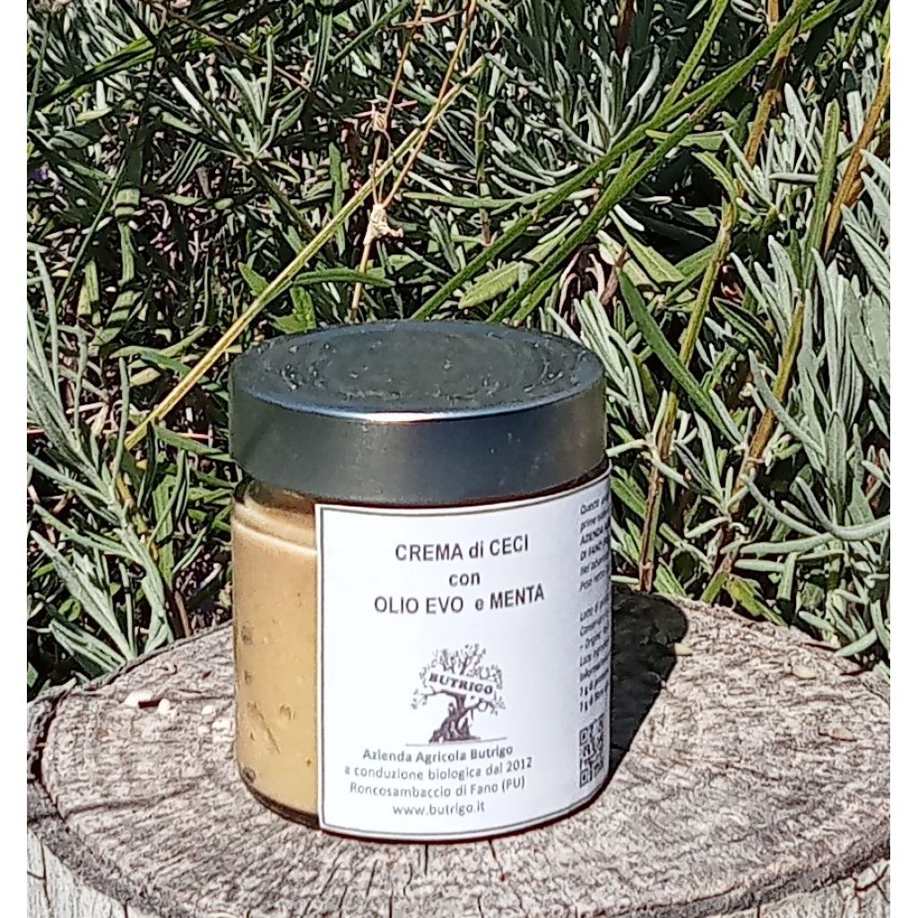 Crema di ceci con menta