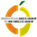 Bruno Di Biase (Agrumi del Gargano)