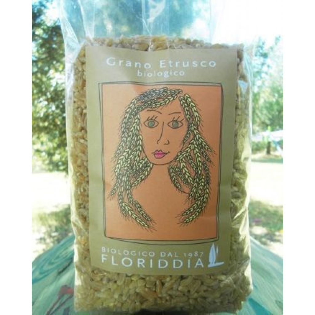 Grano Etrusco 1Kg bio