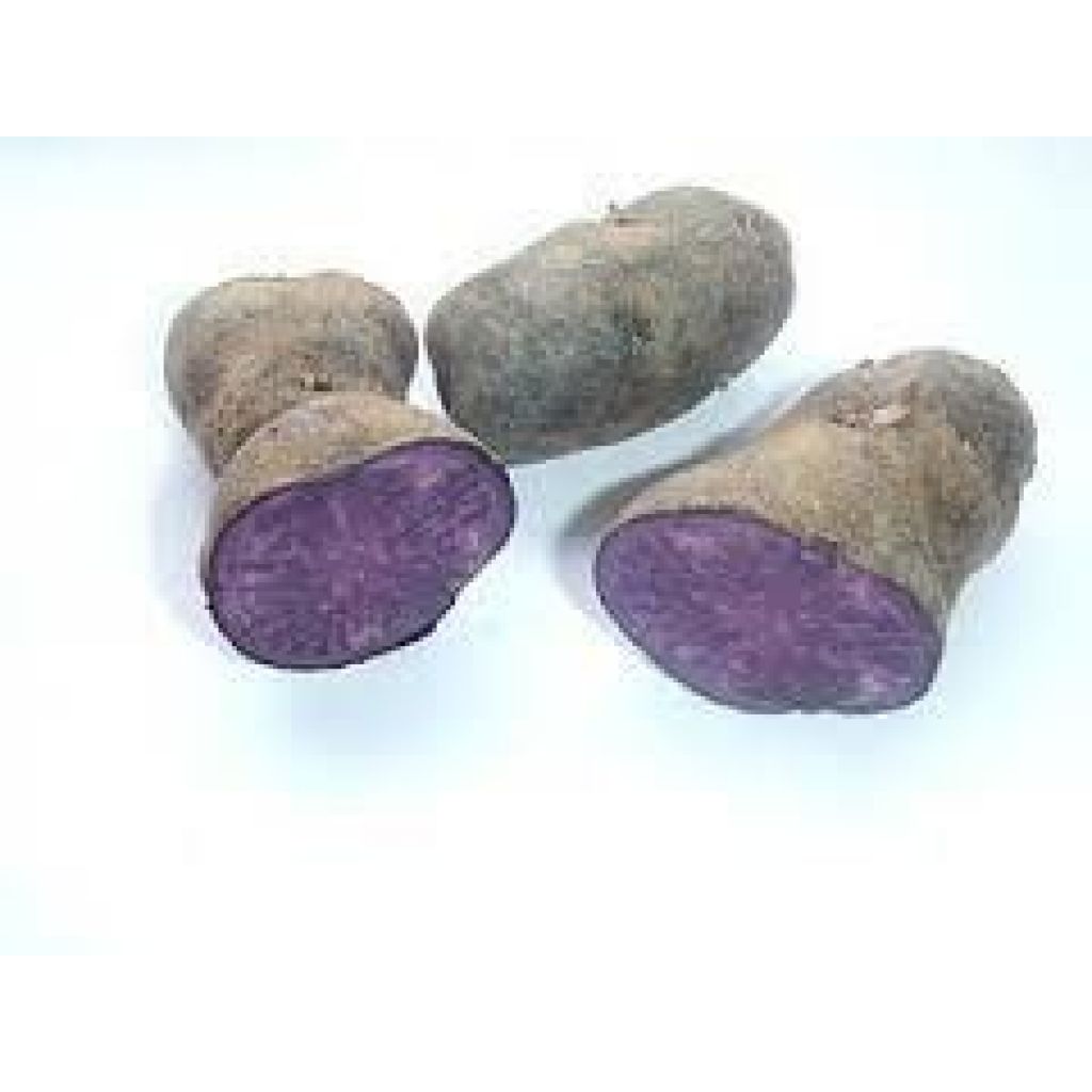 Patate viola