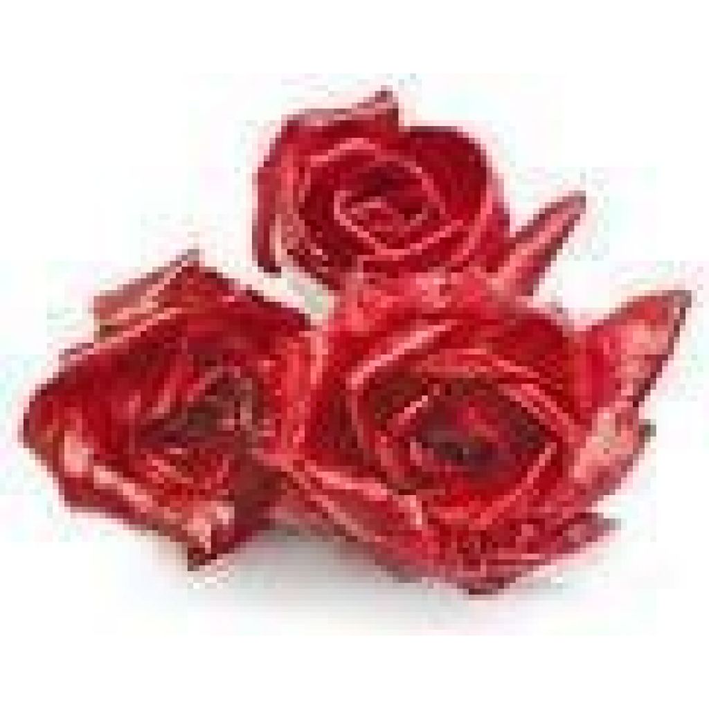 Radicchio Rosa dell'Isonzo