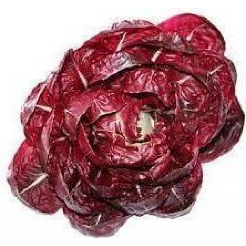 Radicchio grumolo rosso