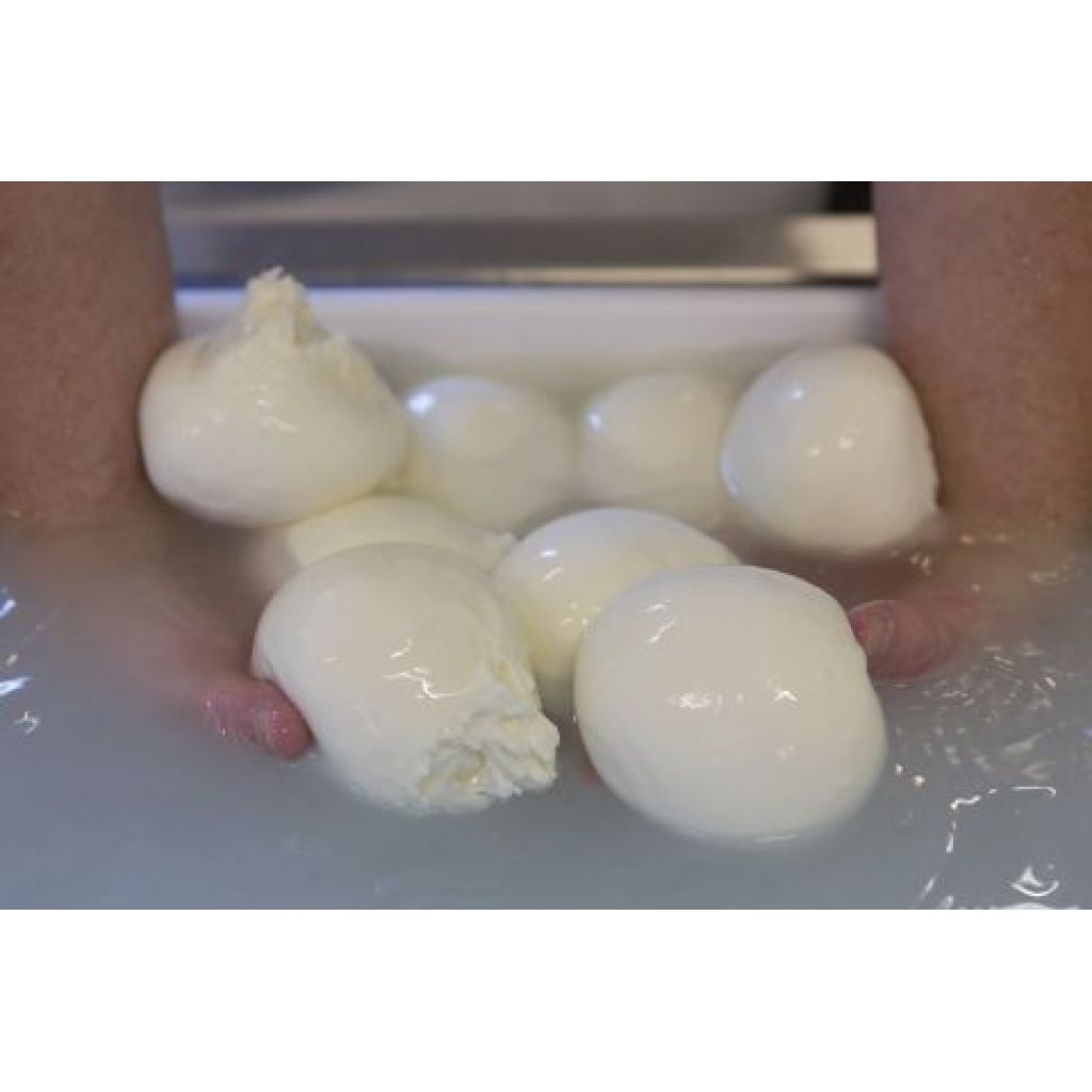 Zoffarella mozzarella of Zoff