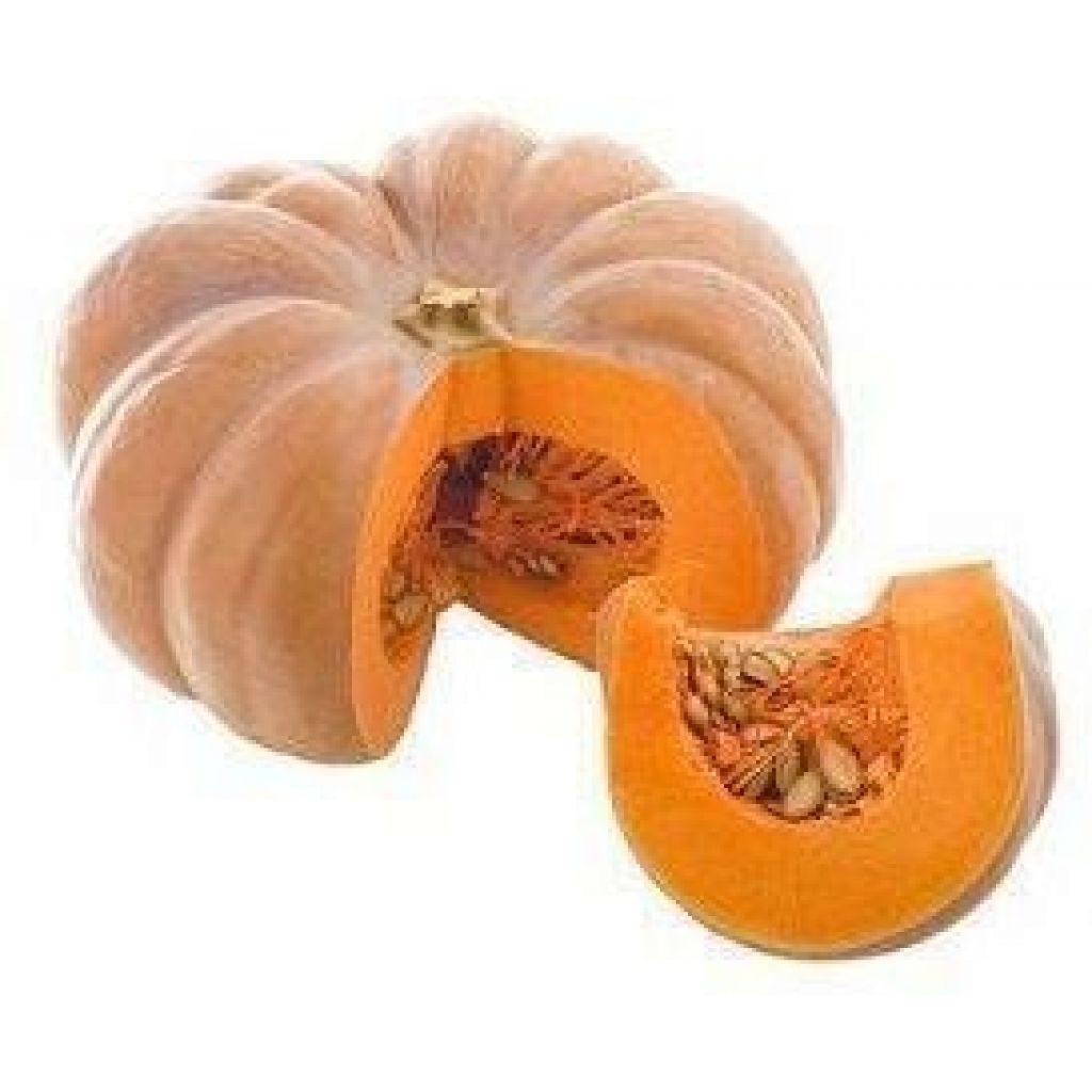Zucca prezzo al Kg