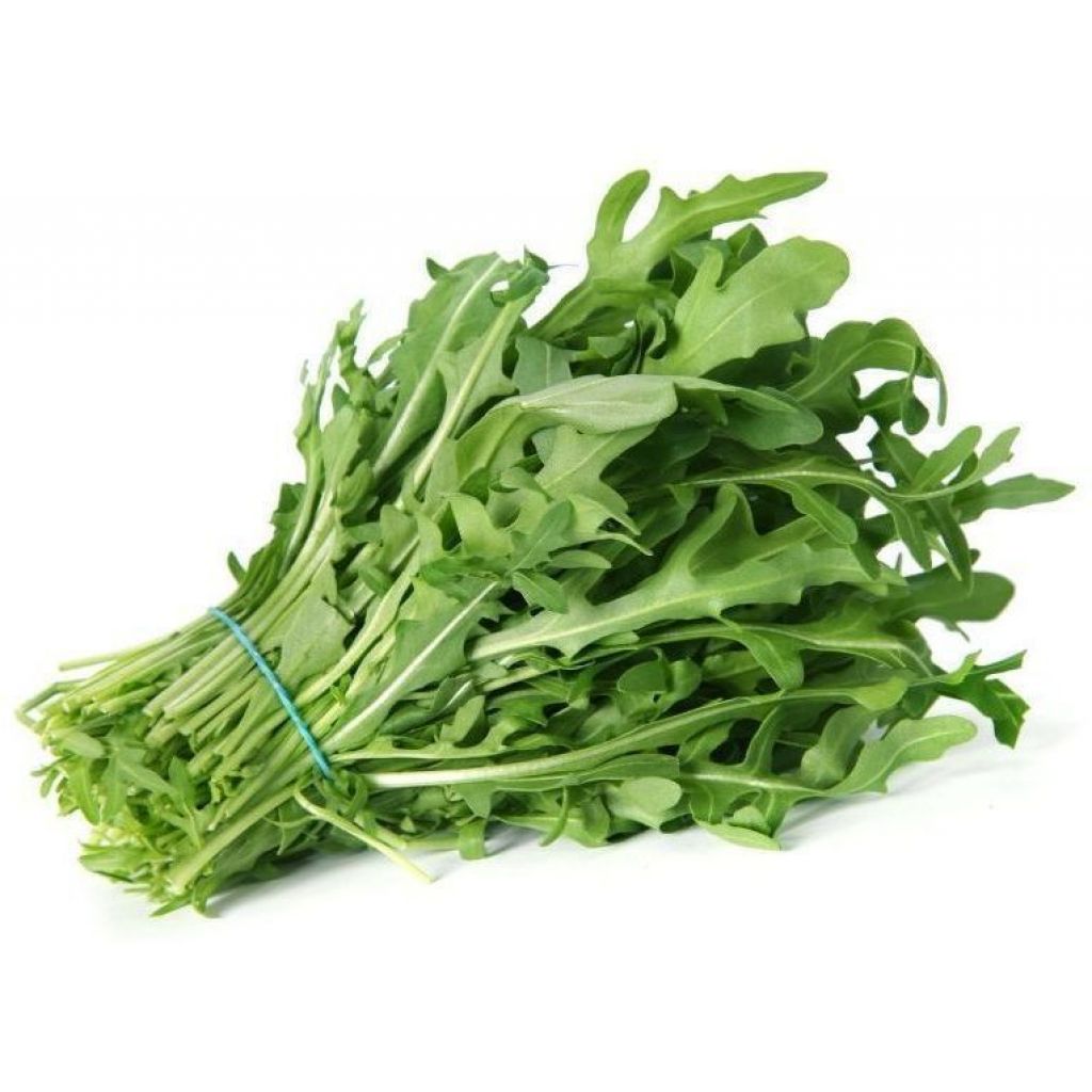 RUCOLA