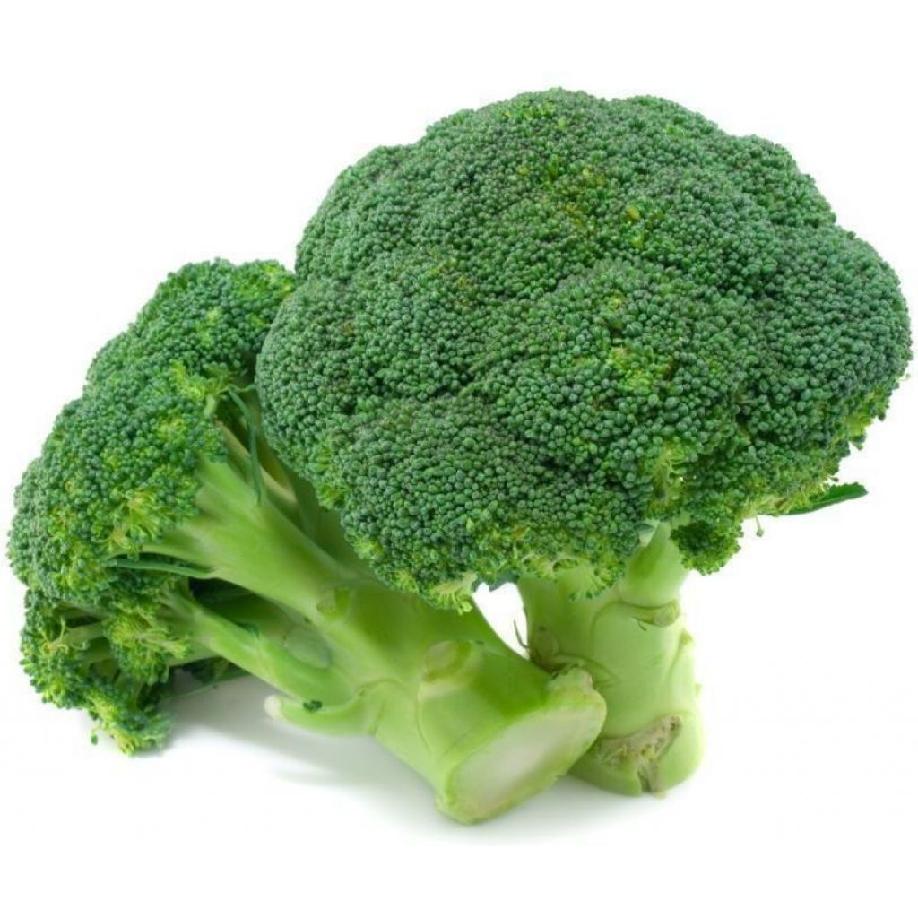 Broccoli