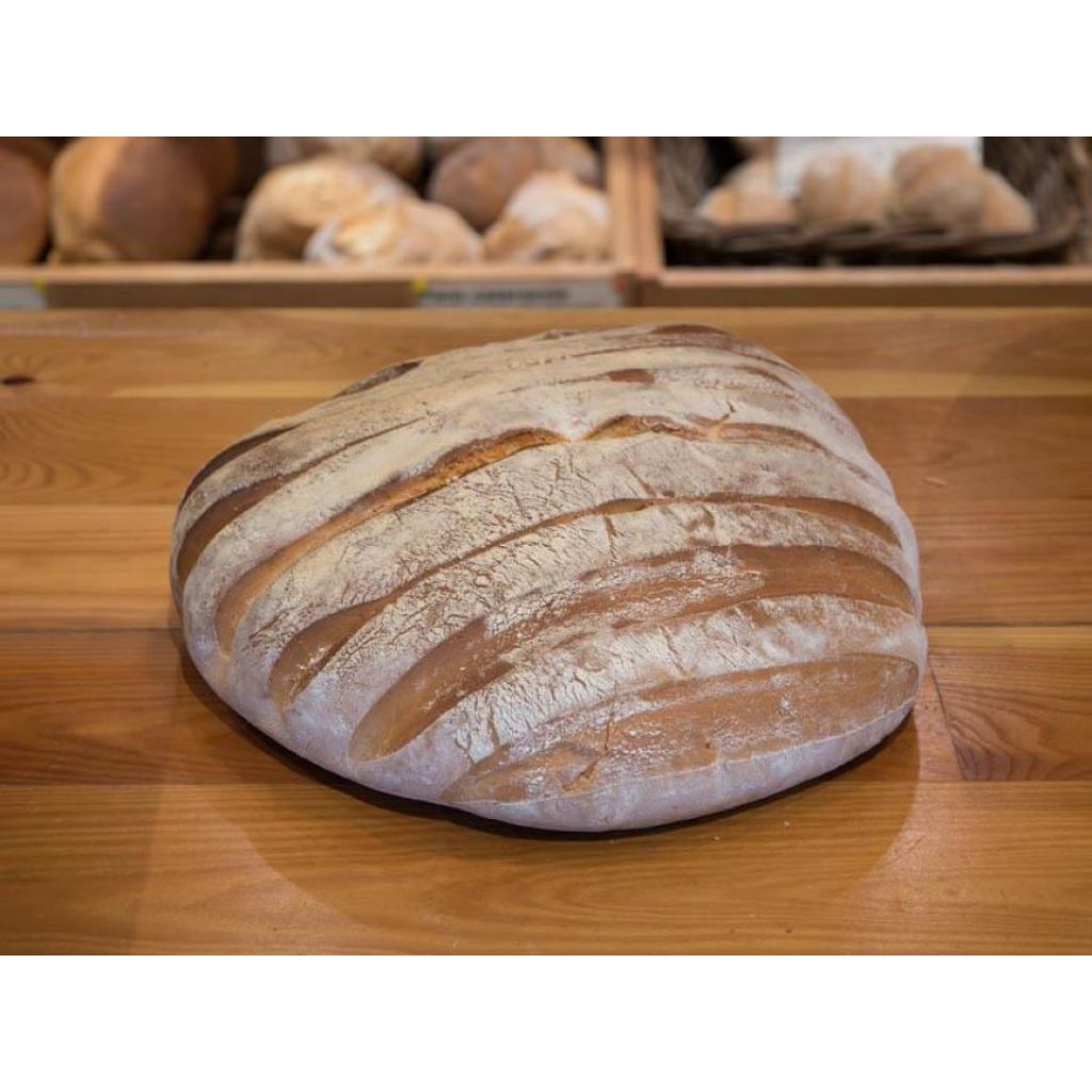 PAGNOTTA DEL PATTO grano tenero integrale