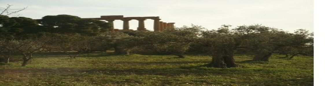 Oleificio Lu Trappitu