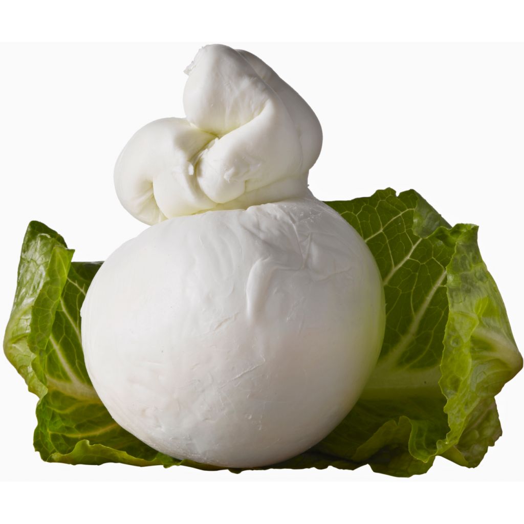 Scamorza di Latte di Bufala