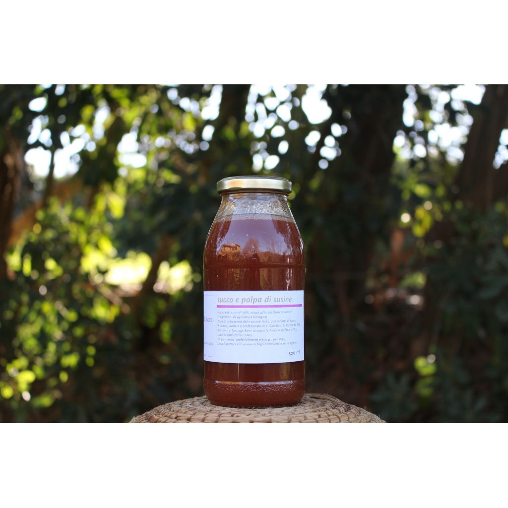 Succo e polpa di susine 500ml