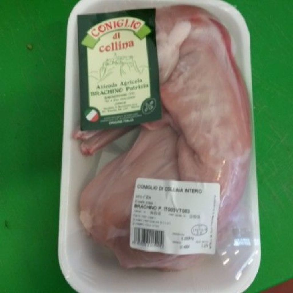 CONIGLIO COLLINA INTERO film